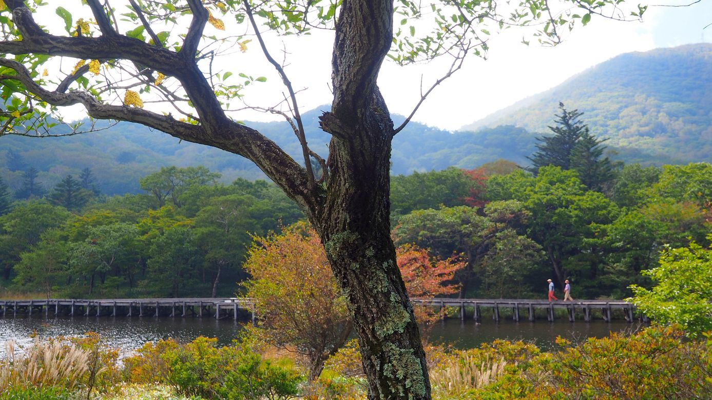 秋めく赤城山・覚満渕。１８℃程で寒かった(^^;_a0031821_18260582.jpg