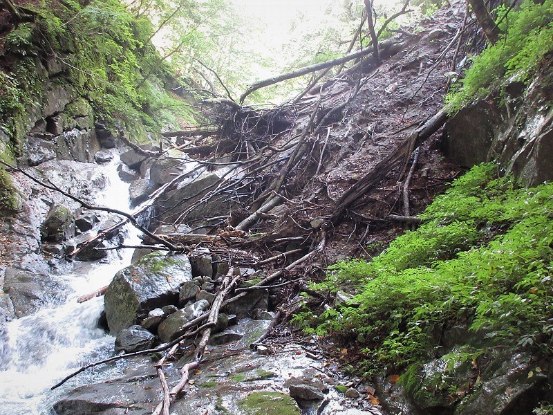 奥秩父　笛吹川東沢鶏冠谷右俣で沢納め　　　　　Stream Climbing in Tosakadani, Chichibu-Tama-Kai National Park_f0308721_20291793.jpg