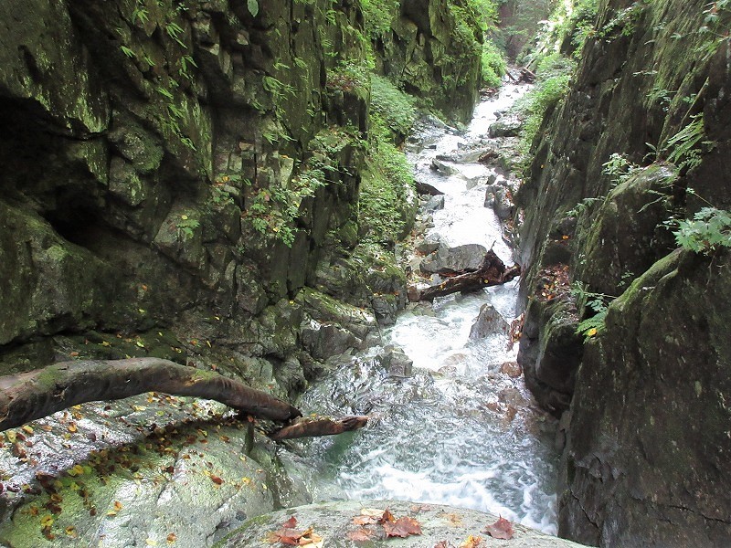 奥秩父　笛吹川東沢鶏冠谷右俣で沢納め　　　　　Stream Climbing in Tosakadani, Chichibu-Tama-Kai National Park_f0308721_20315352.jpg