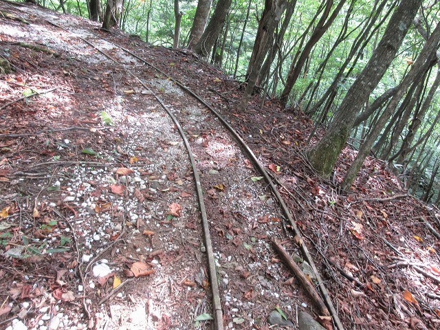 奥秩父　笛吹川東沢鶏冠谷右俣で沢納め　　　　　Stream Climbing in Tosakadani, Chichibu-Tama-Kai National Park_f0308721_20390828.jpg