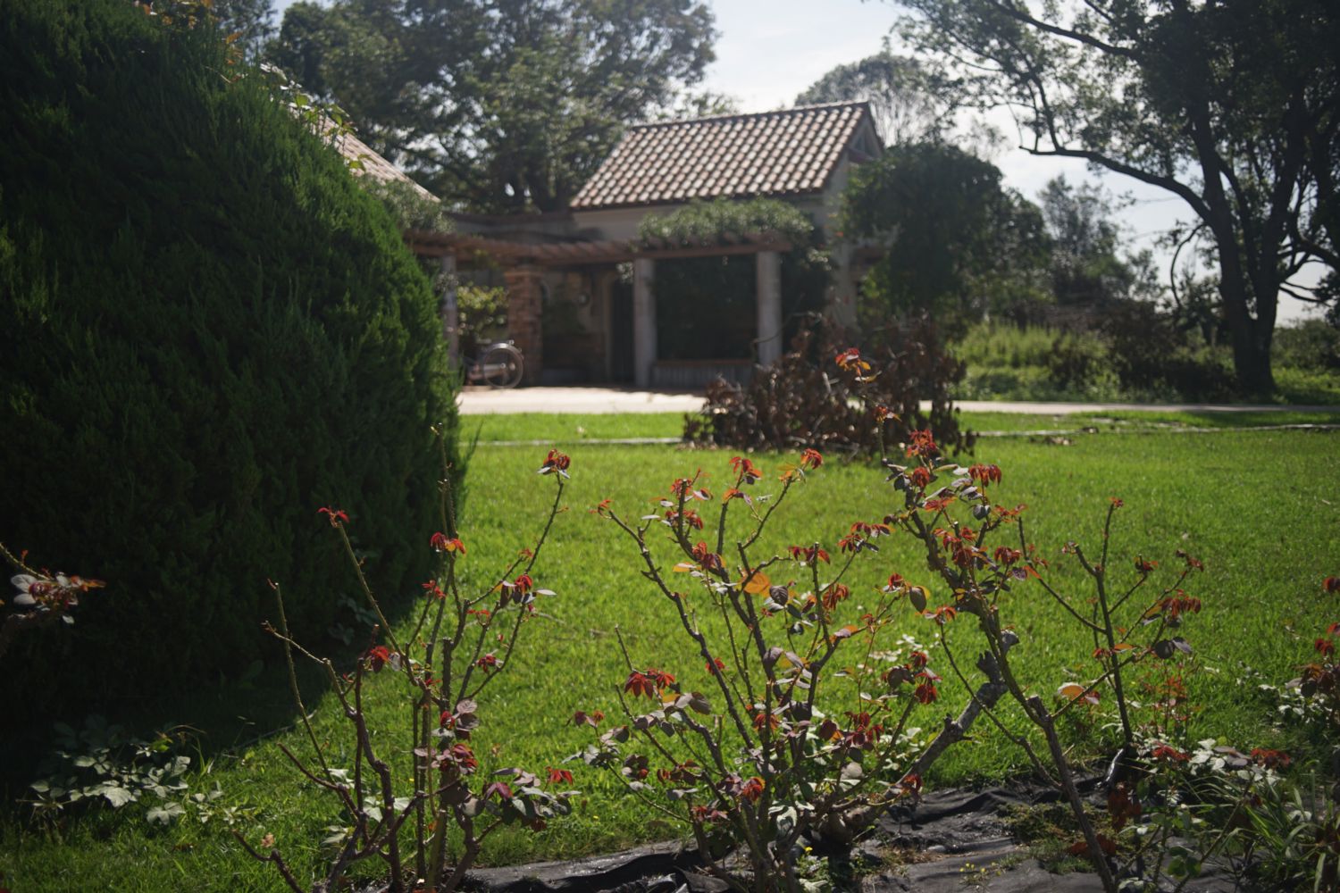 b0069128_1921325.jpg