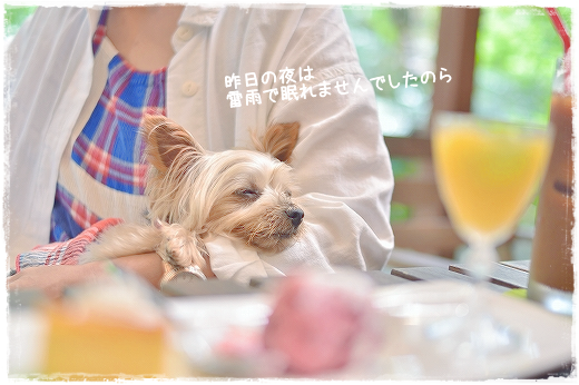 d0179828_13102289.png