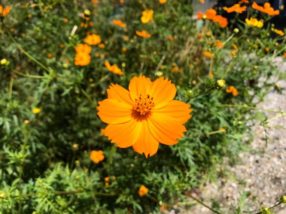 c0117831_21402254.jpg