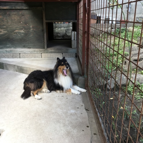 a0291132_14331387.jpeg