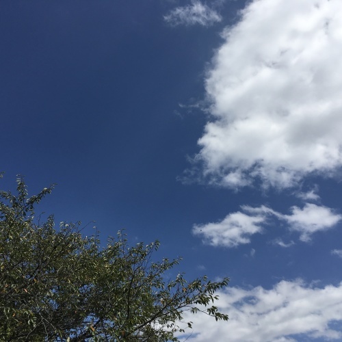 a0291132_14333902.jpeg