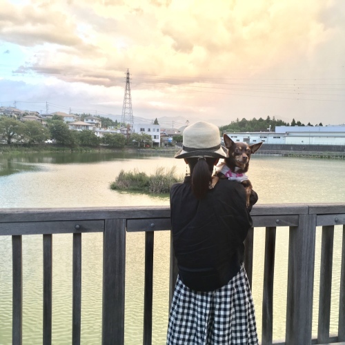 a0291132_14381641.jpeg