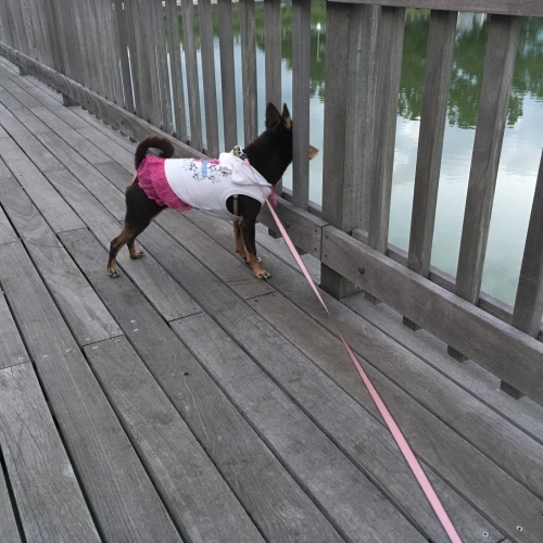 a0291132_14400466.jpeg