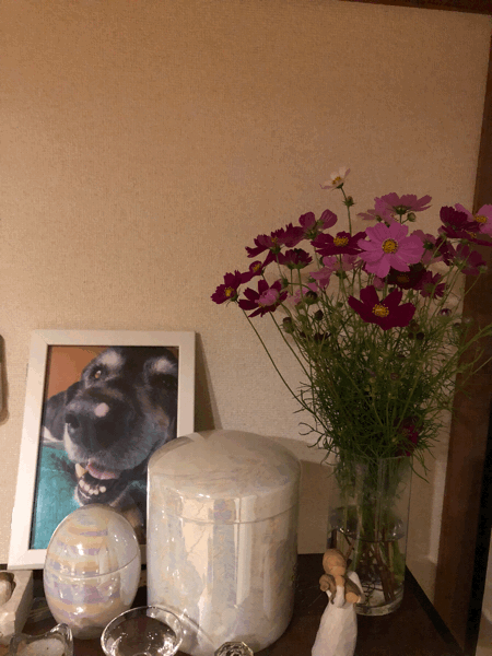 a0240233_21120872.gif