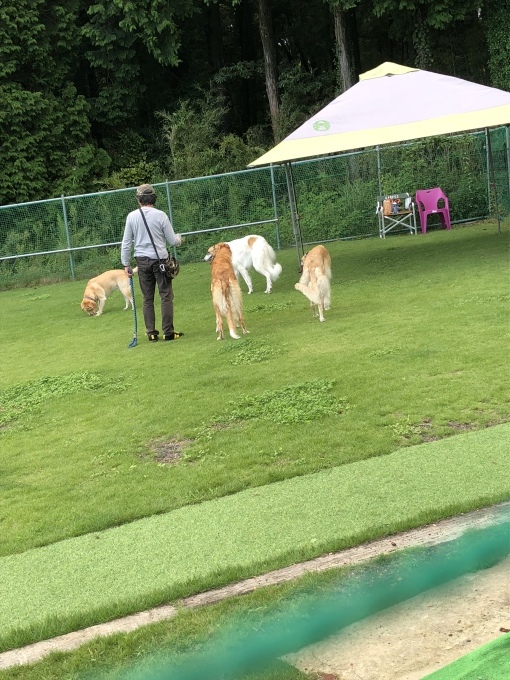 b0369239_14500099.jpeg