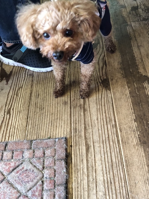 b0369239_14503016.jpeg