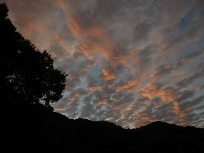 a0054240_21312134.jpg