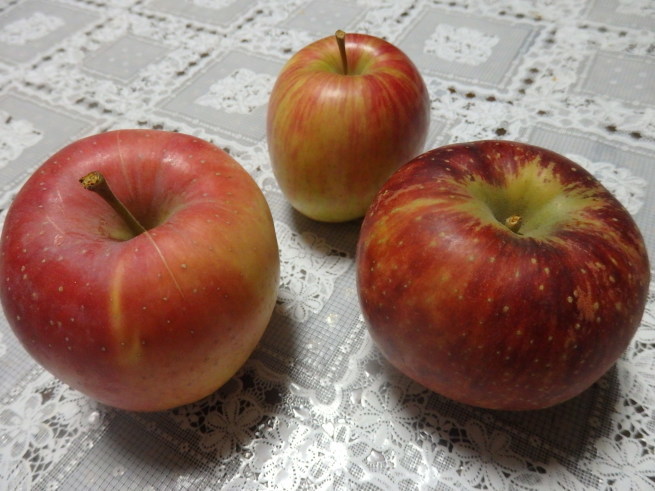a0054240_21372844.jpg