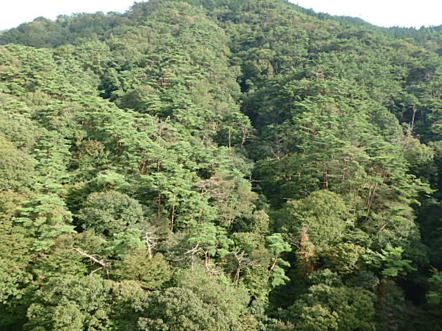 f0334143_839127.jpg