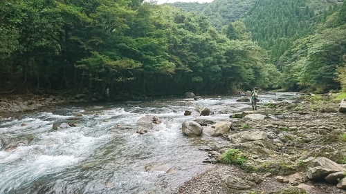 f0351348_14142088.jpg