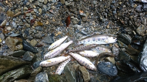 f0351348_14215937.jpg
