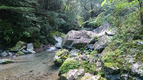 f0351348_16055242.jpg