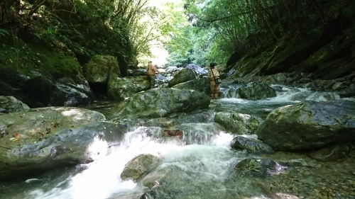 f0351348_16435244.jpg
