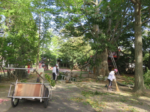 b0238249_19494730.jpg