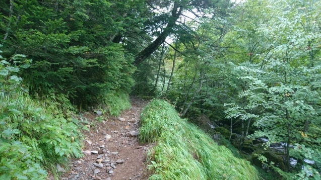 b0148050_08074315.jpg