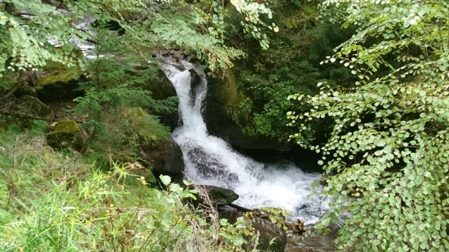 b0148050_08074688.jpg