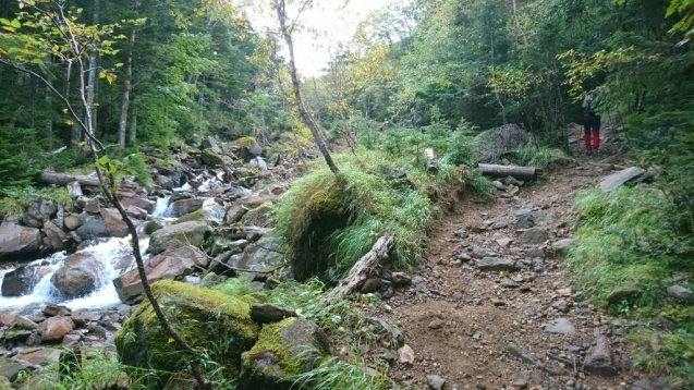 b0148050_08075049.jpg