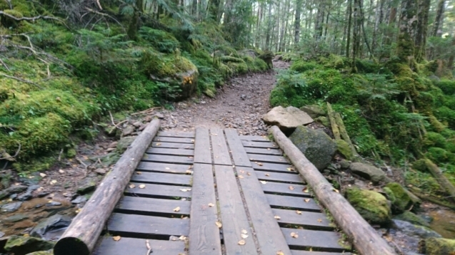 b0148050_08075381.jpg