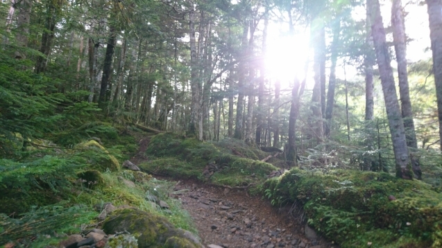 b0148050_08124668.jpg