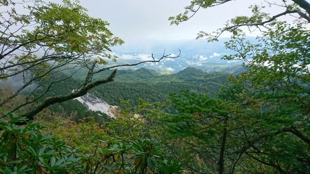 b0148050_08303340.jpg
