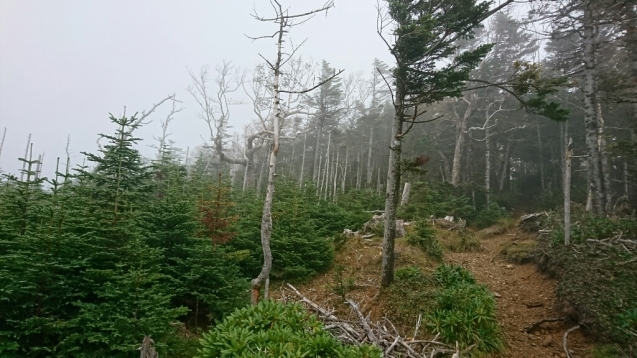 b0148050_10241803.jpg