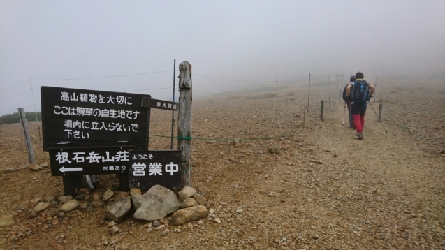 b0148050_10242258.jpg