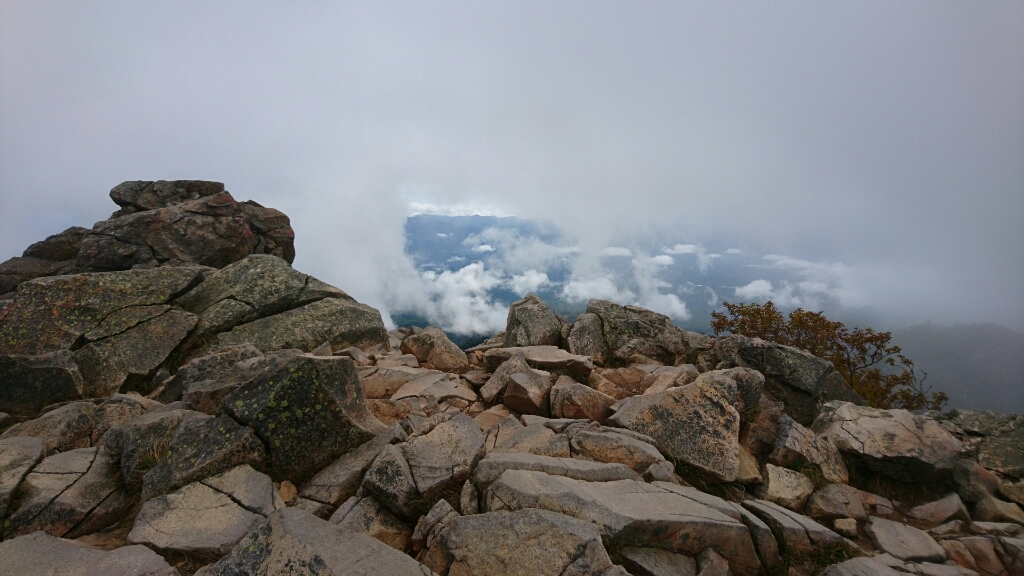b0148050_10484953.jpg