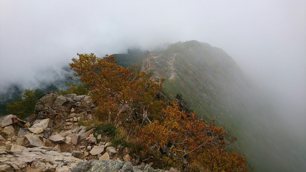 b0148050_10485320.jpg