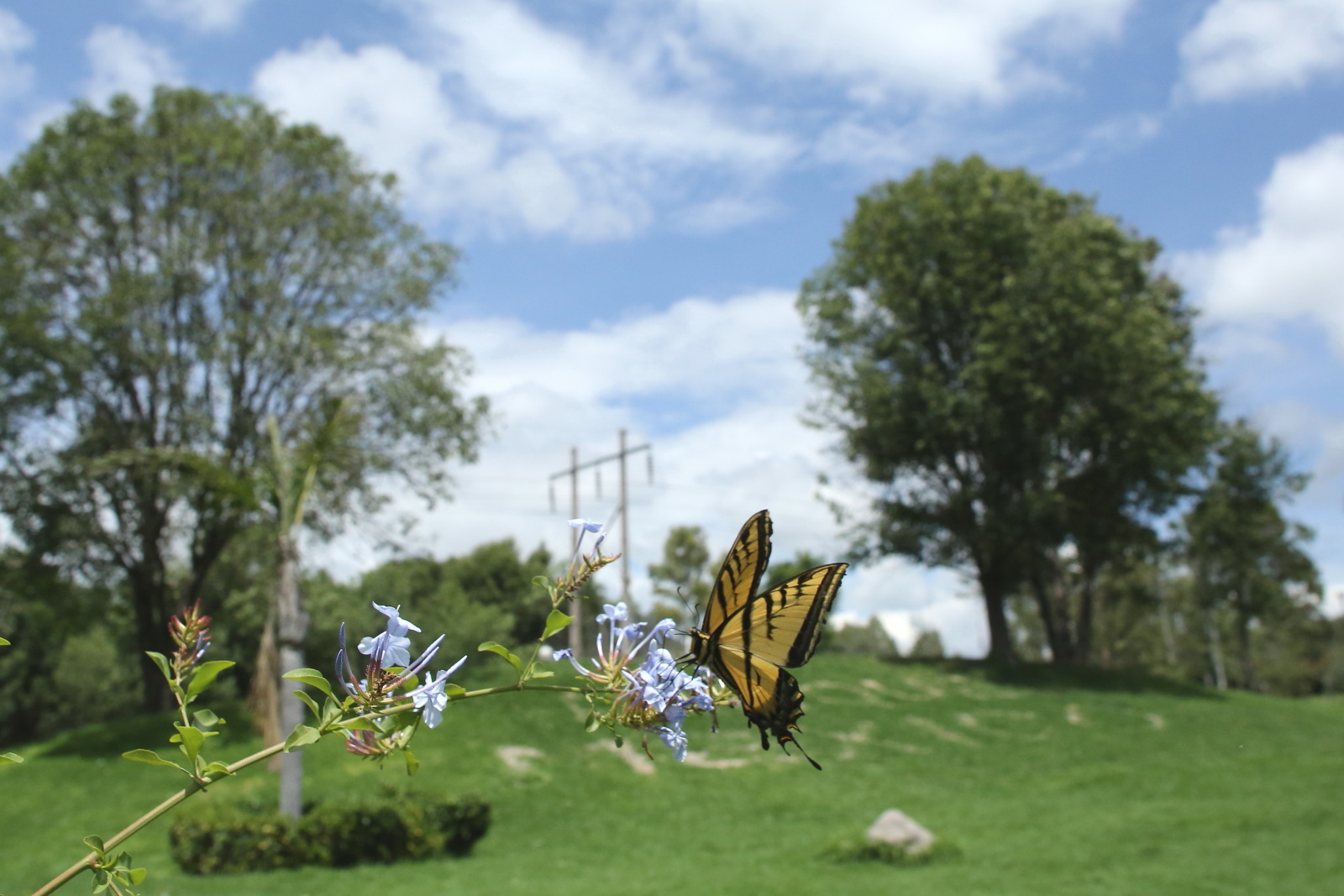 f0345350_11135950.jpg