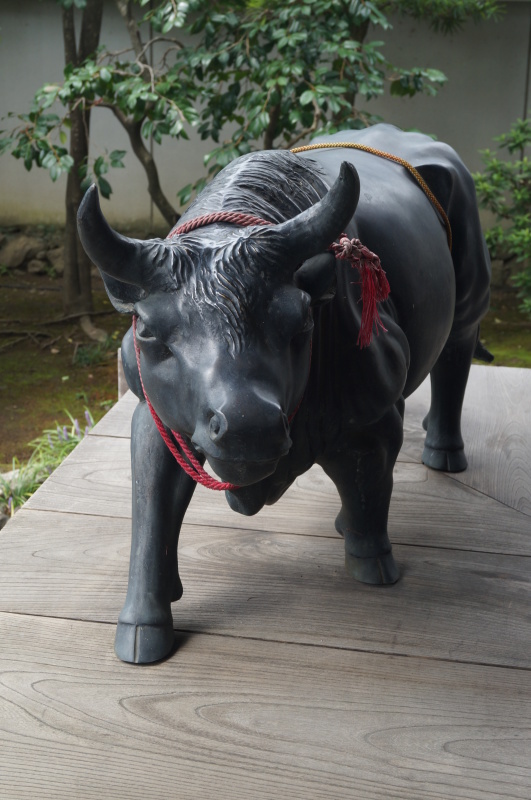 だるま寺法輪寺の無尽庭　十牛の庭_b0063958_17062126.jpg