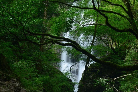 c0303868_06172150.jpg