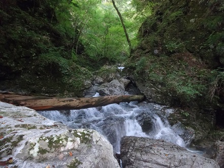 c0303868_06185388.jpg