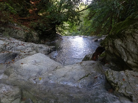 c0303868_06272429.jpg