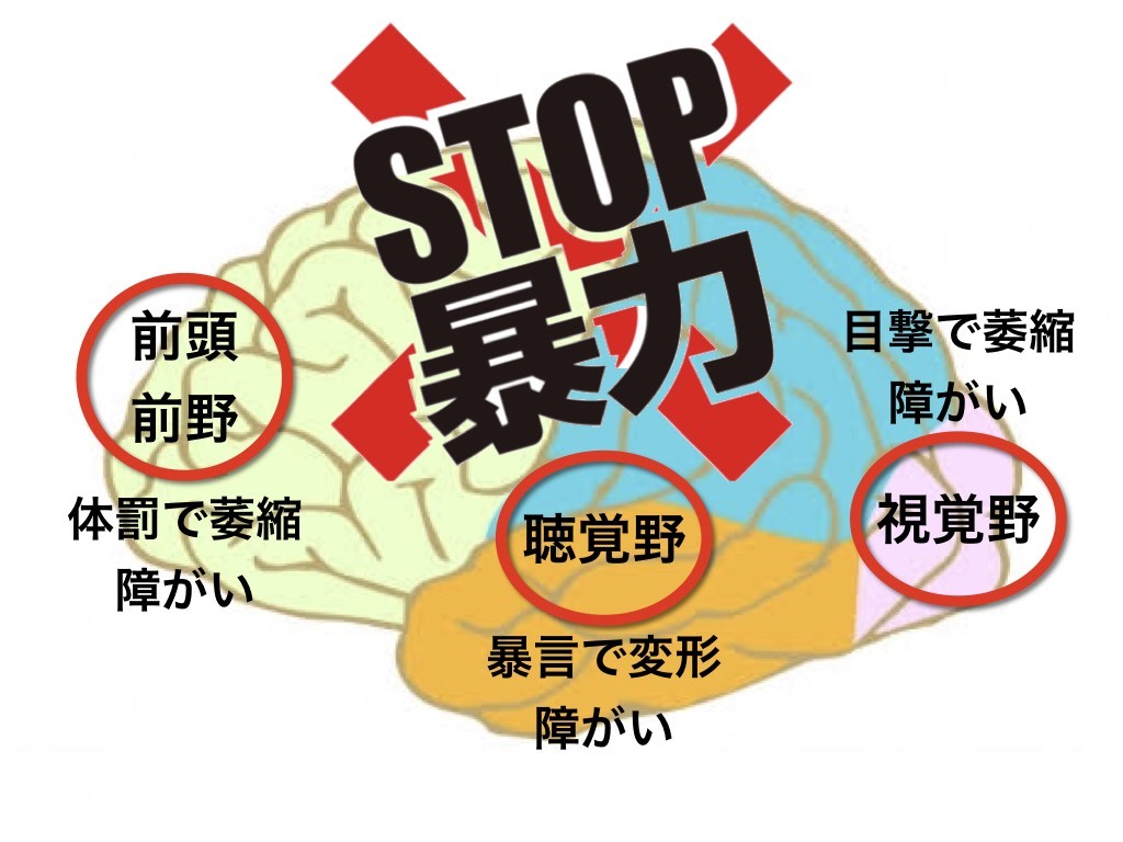 第2903話・・・第20回公認講習会_c0000970_10225059.jpg