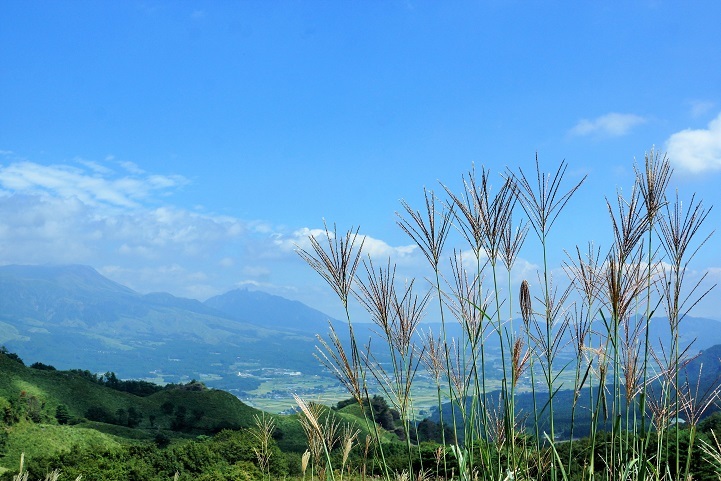c0248473_20154939.jpg
