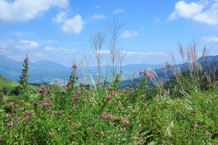 c0248473_20160922.jpg