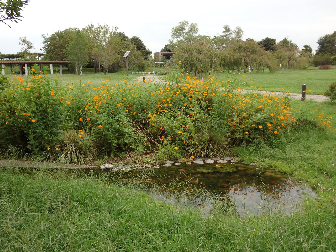 d0054276_20486100.jpg