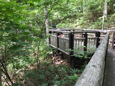 f0083977_06560373.jpg