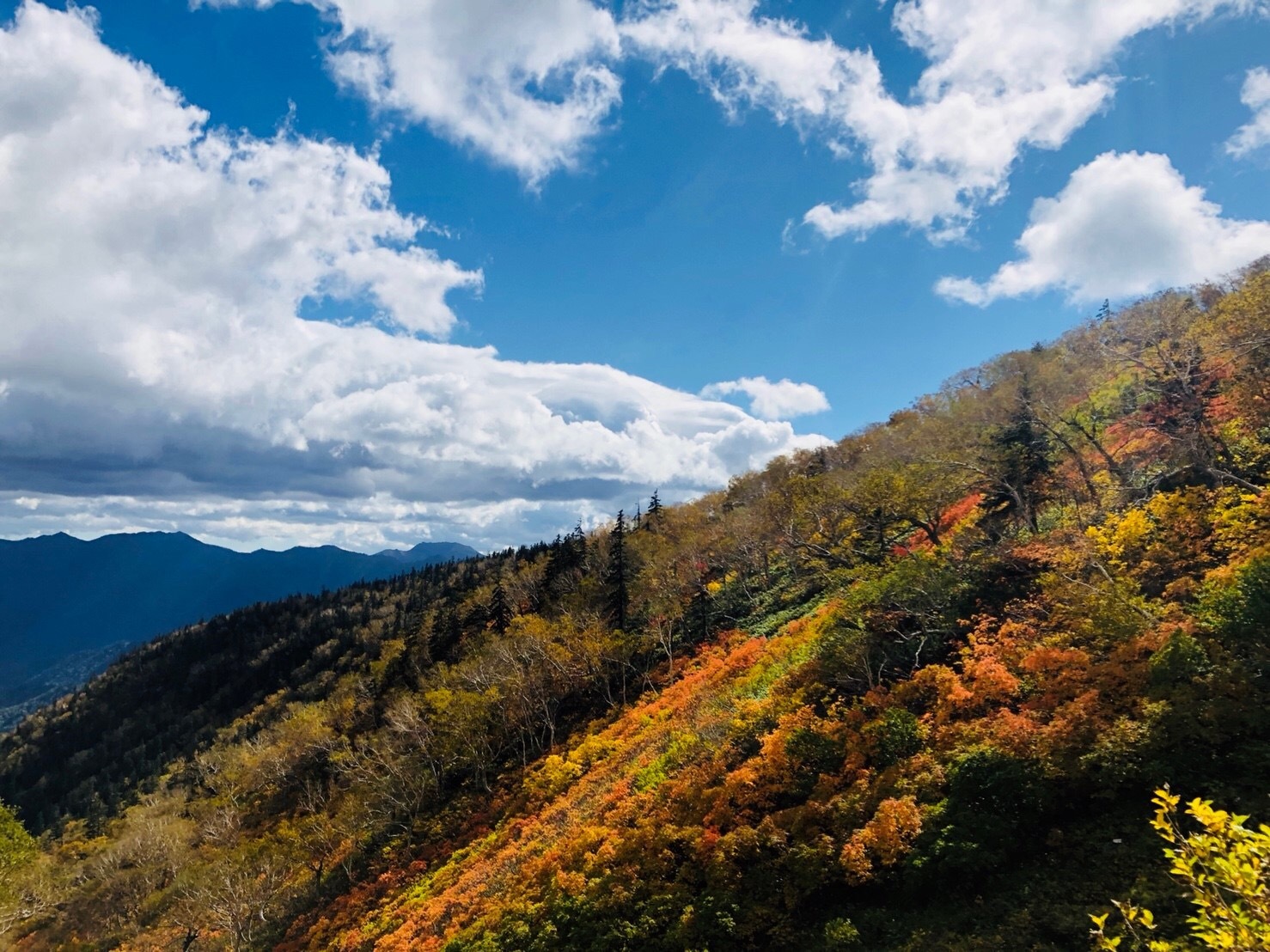 9月平日企画山行　北海道のヒマラヤ山脈を歩こう！紅葉と滝とナッキーを観よう！_a0141678_10345429.jpeg