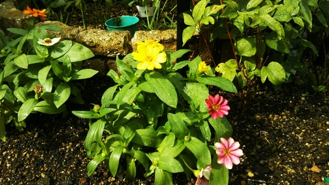 f0366679_21020947.jpg