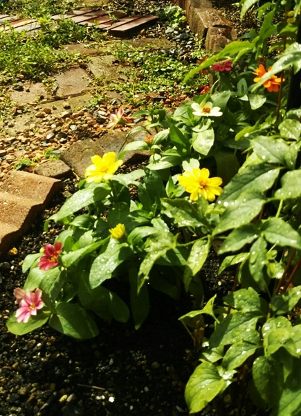 f0366679_21031842.jpg