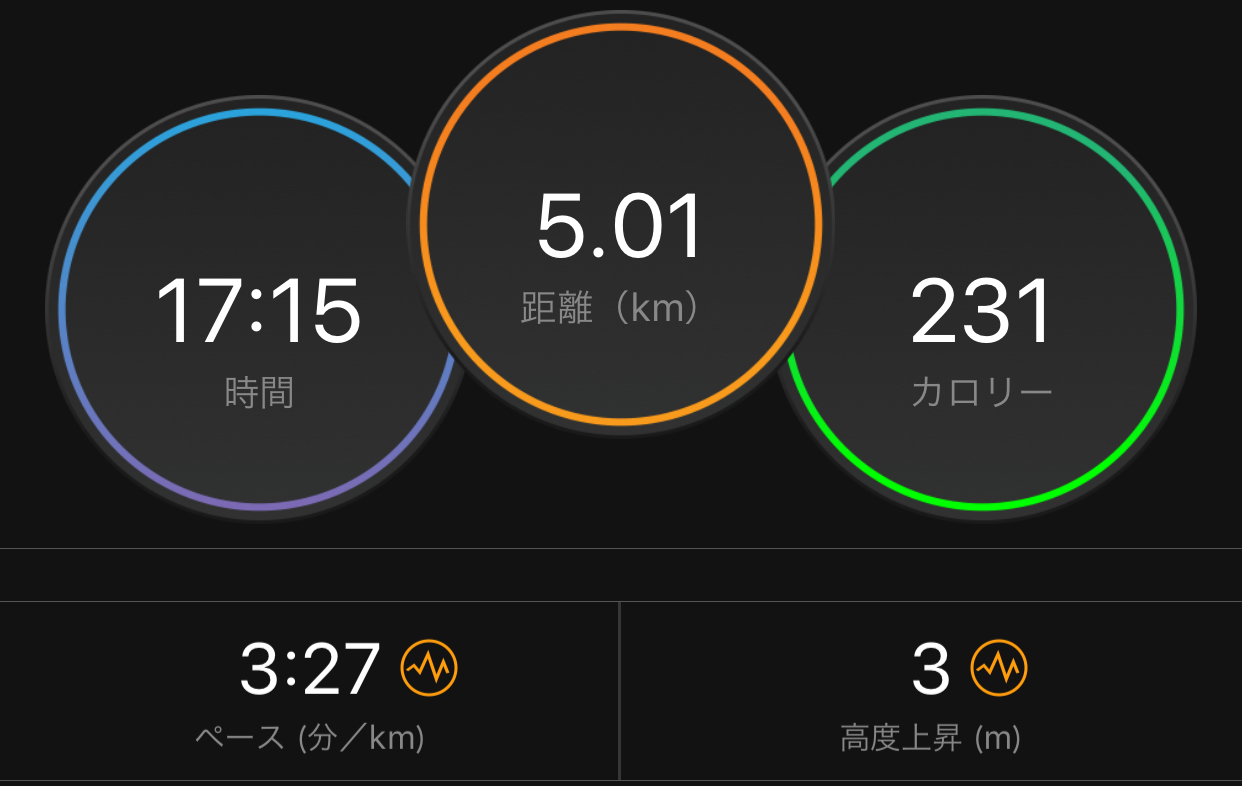 大沈没BU走からの〜_f0310282_18132364.jpeg