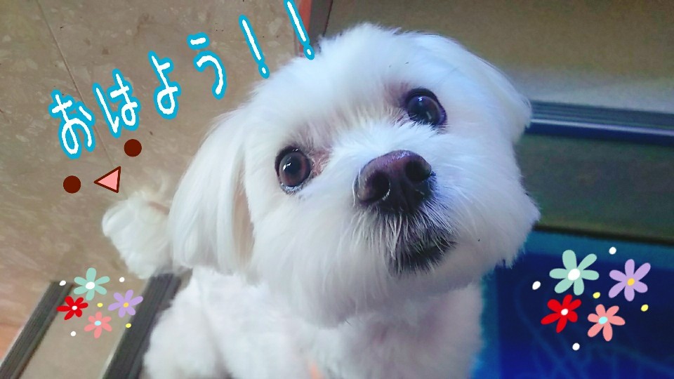 今日も元気に~⤴️⤴️_f0357682_12015318.jpg