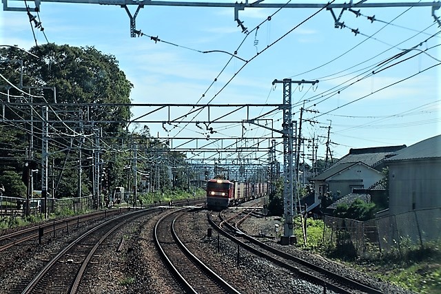 d0181492_20335443.jpg