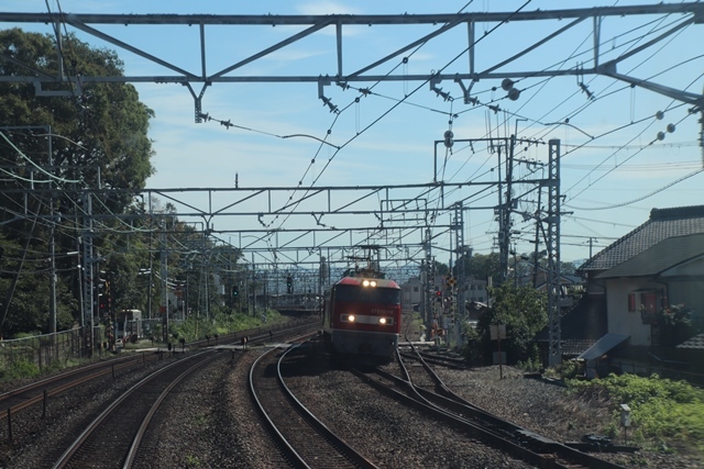 d0181492_20341929.jpg