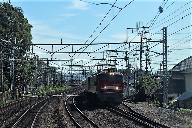 d0181492_20343954.jpg